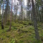 Appartement Ellivuori With Sauna And Balcony Sastamala