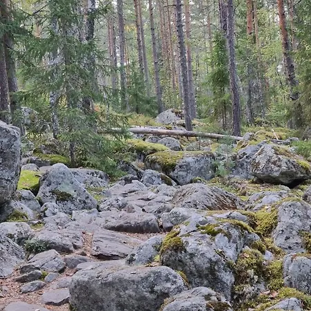 Ellivuori With Sauna And Balcony Sastamala