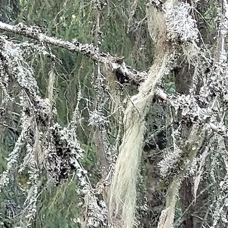 Apartamento Ellivuori With Sauna And Balcony *