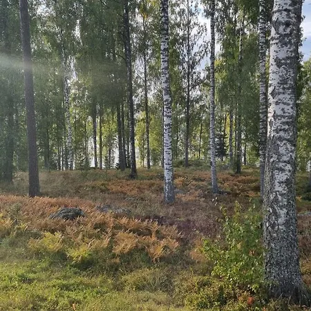 Ellivuori With Sauna And Balcony