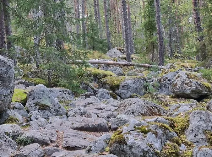 Ellivuori With Sauna And Balcony 萨斯塔马拉