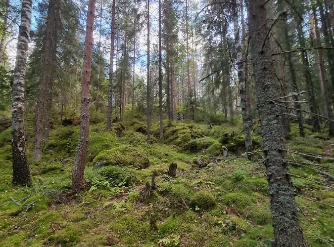 公寓 Ellivuori With Sauna And Balcony 萨斯塔马拉