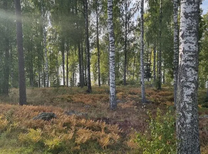 Ellivuori With Sauna And Balcony