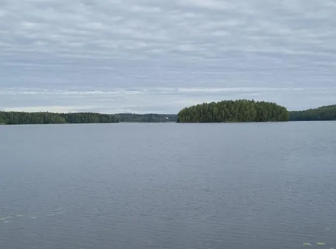 Ellivuori With Sauna And Balcony